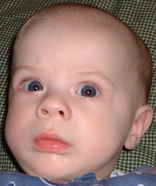 Me dicen los ojos grandes pero me llamo Andrew Davies, hijo de Elder Davies
Ryan  Davies
14 Dec 2003