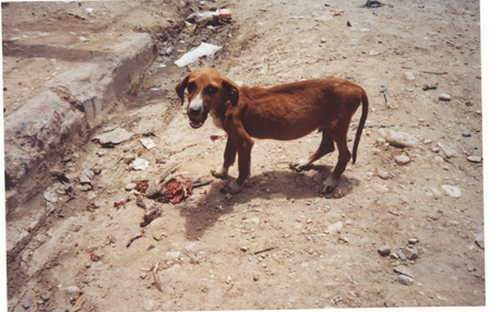 This has got to bring back memories!
Aaron Seth Young
06 May 2001