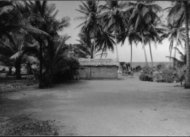 foto en blanco y negro de la casa de los cordero cerca a matancita.
Benjamin F. Cluff
12 Jun 2001