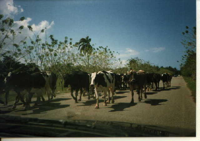 ¿conferencia de la mision tal vez?
Benjamin F. Cluff
12 Jun 2001