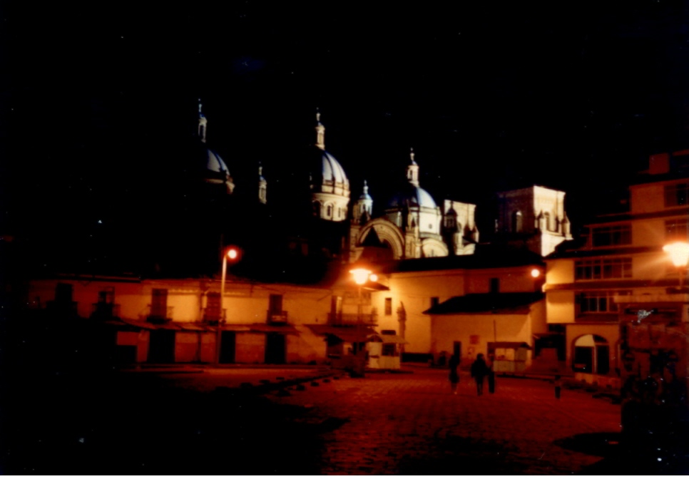 Sometimes the lighting is just right and you get an incredible picture by chance.
Matthew D. Carling
09 Jun 2009