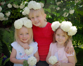 Ross Leland Allred Alumni Photo