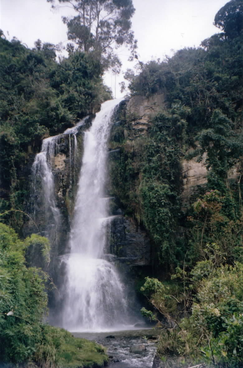 Algún P-day, hay que ir por allí. ¡Es bacán!
Dallin  Wood
20 Nov 2001