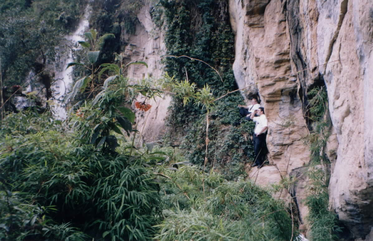 
Dallin  Wood
20 Nov 2001