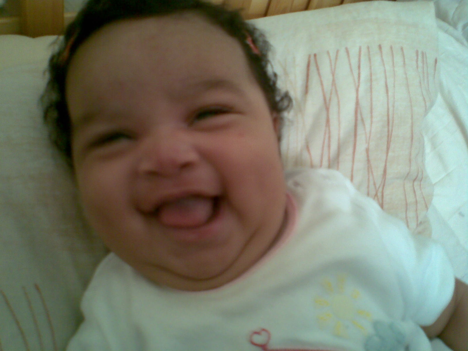 Michelle  Crespo Alumni Photo