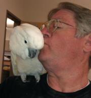 Dalton L Gibson Alumni Photo