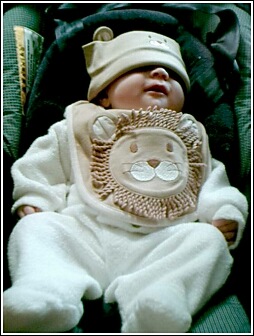 Hello out there my name is Stephanie Lilly Bowles I am three months old
Wendy  Uriostegui
15 May 2003