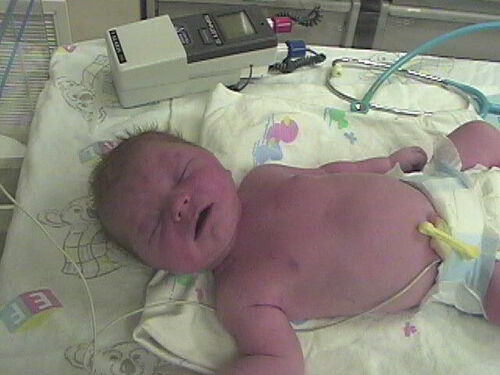 Tanner arrived on 10-10-2005 at 7:14am weighing 7lbs 14oz and is 19.5in long.
Nate Stoddard
10 Oct 2005