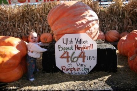 Here is my little Courtney at 8 1/2 months old visiting the biggest pumpkin in Utah Valley!
Tawni  Smith
25 Oct 2006
