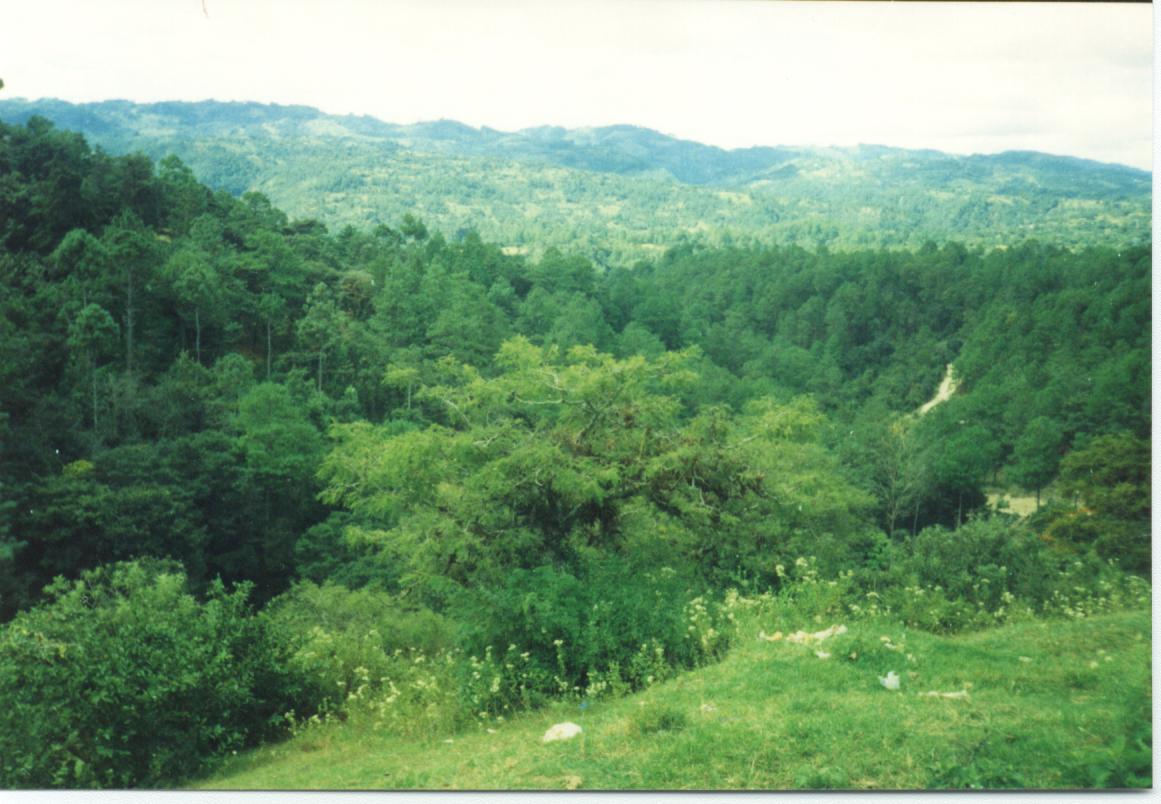 !Que Belleza!
Jonathan  Chartrand
22 Jan 2002