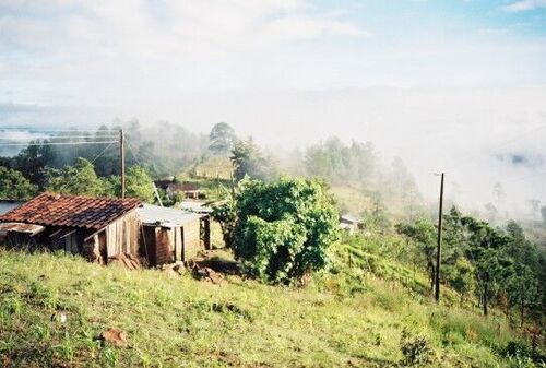 From the ball court of the Nimsituj chapel, looking north.
Brendon M Melander
10 May 2004