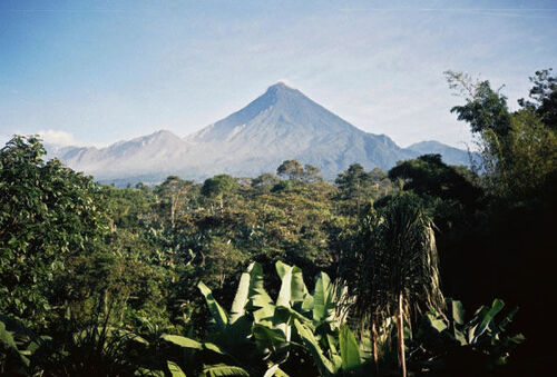 Volcan Santa Maria from Pueblo Nuevo, San Felipe.  Active Santiaguito is the ash-colored peak on the left. No ash plumes in this picture, though.
Brendon M Melander
14 May 2004
