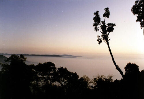 We thought it would be a great idea to climb the Santa Maria for p-day from the Xela side.  We wanted to see the sunrise from the top, we might have made it if we had brought a FLASHLIGHT!! After about 5 hours climbing in the dark we made it about 3/4 of the way up before the sun came up.
Thomas  Whitelock
24 Feb 2005