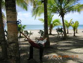 Harrison Robert Harding Alumni Photo