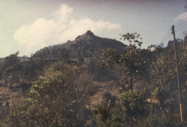 This is La Piedra de Apaguiz near Danli. We hiked up it one day with the youth from the branches in Danli. In my day, there were only two branches there.
Ann  Jenson
11 Apr 2003