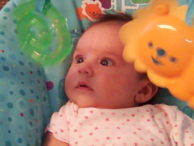 Steven Ramon Abaroa Fotos