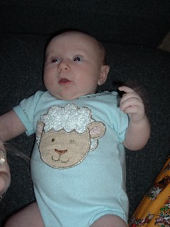 Steven J. Paradise Fotos