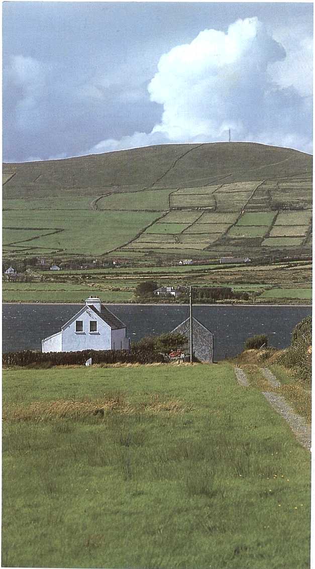 Ireland
Bruce Braithwaite
13 Apr 2002