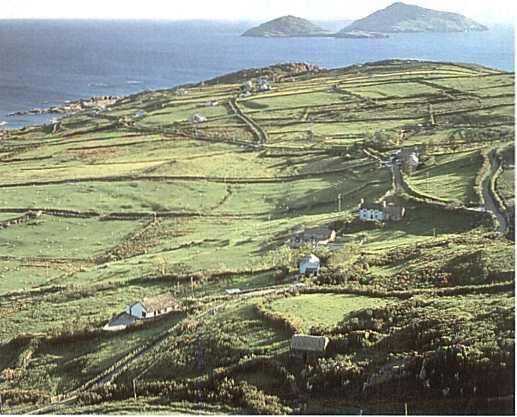 Ireland
Bruce Braithwaite
13 Apr 2002