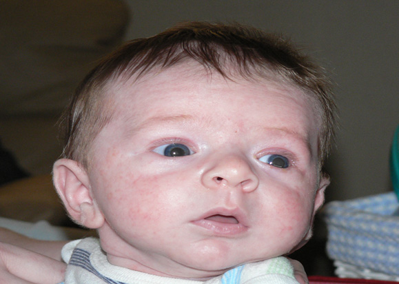 This little guy is a month old in this picture.
Luke M Bevans
19 Dec 2005