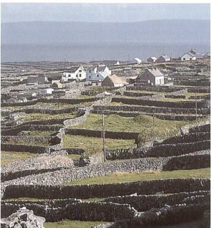 Ireland
Bruce Braithwaite
13 Apr 2002