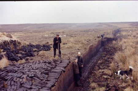 Some men cutting the peat
Lynn Karl Skousen
18 Mar 2004
