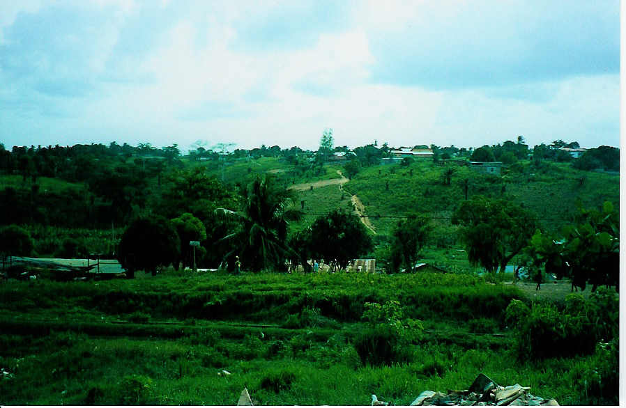 Les forets d'Anyama
Benjamin Christopher Oates
23 Mar 2003