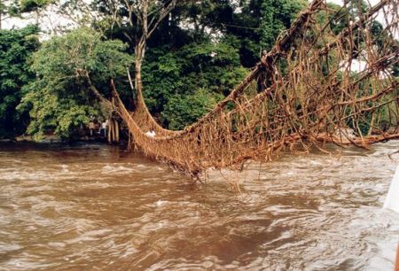 Rope bridge near Man
Nathan Bohus Stastny
30 Jan 2002