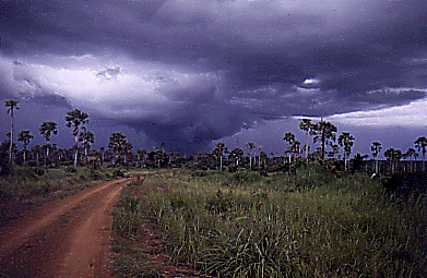Les tampetes ivoireinnes me manquent j'ai beaucoup aime la siason de la pluie.
Nathan A. EGGLESTON
15 Feb 2002