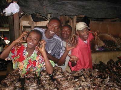 Poisson Fume... That stench that made the african markets very unique
Nathan A. EGGLESTON
16 Mar 2002