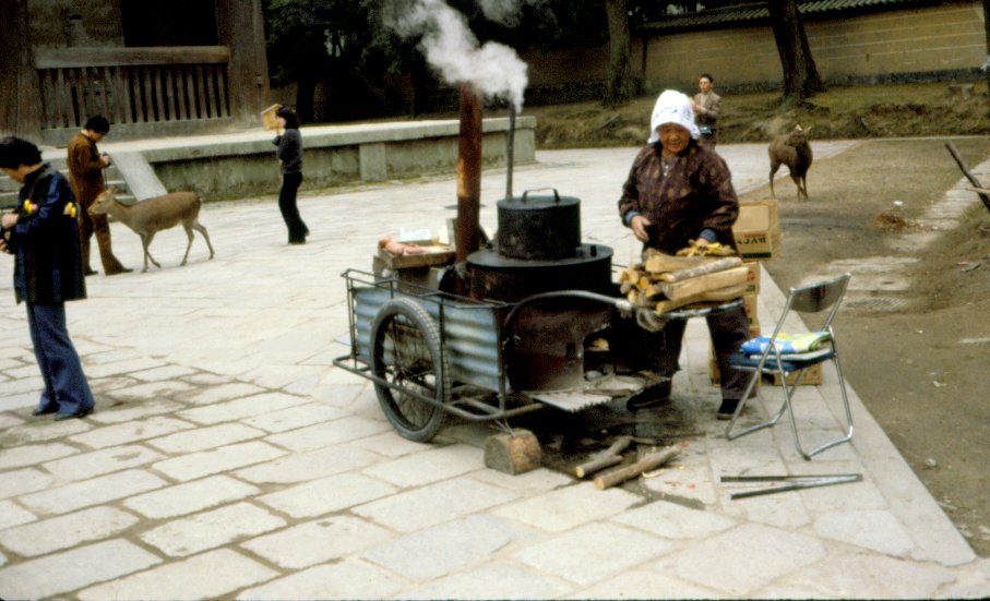 Nara Scene