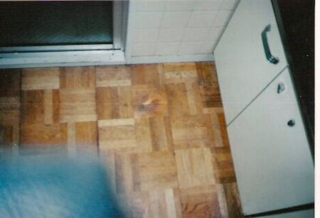 I just had to share this with everyone.  Probably a little hard to see, but this is a big burn mark on the floor of the kitchen in the Abeno apartment where I toasted a gokiburi.  You can actually see its outline...
Jason  Lethbridge
08 May 2006