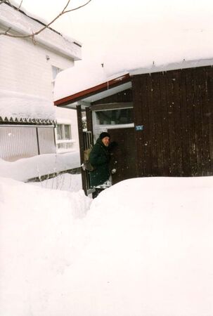 Did I tell you newly called missionaries yet that the snow rumor is NO RUMOR? I can't remember if my dode was Kimball or Stanton when this was taken, but it's just the normal house to house tracting that we did everyday. This poor lady wasn't married and just didn't have anyone to help shovel the walk. ps: I hope you're back's in shape coming to Hokkaido because you're going to shovel A LOT of walks.
Jim Dillon
03 Nov 2004