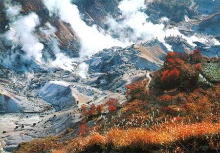 This is called Hell Valley for the sulfer active steamers and located near Noboribetsu which is between Muroran and Tomakomai. This shot is quite famous and seen on many posters, maps, websites, and postcards as an image of Hokkaido's best.
Jim Dillon
05 Nov 2004