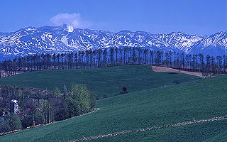 The area called Biei is in the middle of the island between Asahikawa and Furano. The area is known for its unpopulated and untouched beauty. By far, it's the most beautiful area on the entire island. I was fortunate to drive through on a Buch-approved P-day out to the flower fields of Furano while I was serving in Suehiro. All our dendo exhaustion, worries, stress, and anxieties seemed to go away that day. These shots are used a lot as images of Hokkaido's best.
Jim Dillon
24 Nov 2004