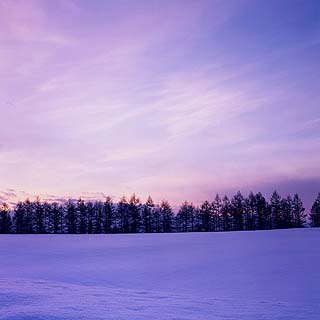 The area called Biei is in the middle of the island between Asahikawa and Furano. The area is known for its unpopulated and untouched beauty. By far, it's the most beautiful area on the entire island. I was fortunate to drive through on a Buch-approved P-day out to the flower fields of Furano while I was serving in Suehiro. All our dendo exhaustion, worries, stress, and anxieties seemed to go away that day. These shots are used a lot as images of Hokkaido's best.
Jim Dillon
24 Nov 2004