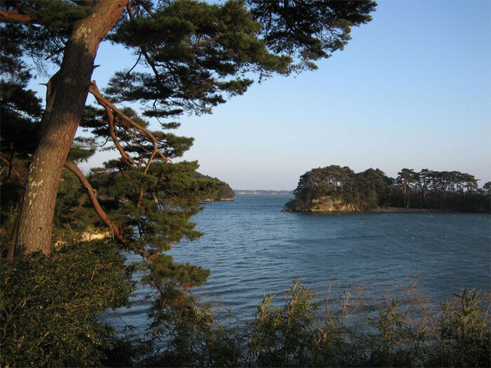 View from Matsushima
Trevor Lane Newcomer
07 May 2006