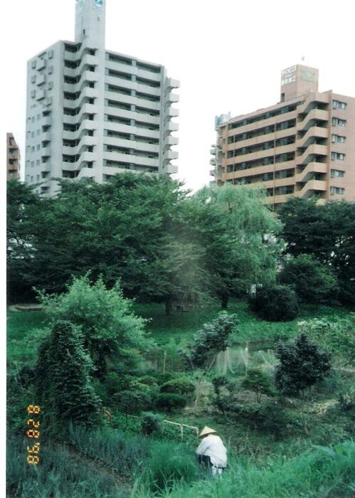 Old and new mesh in Sendai
Curtis S. Gasser
04 Jul 2006