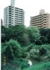 Title: 1998 Old/New