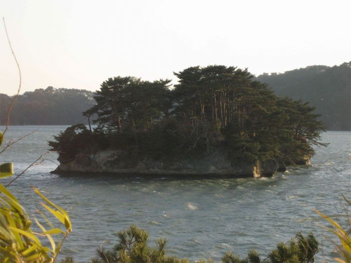 An island at Matsushima  March 2006
Trevor Lane Newcomer
07 May 2006