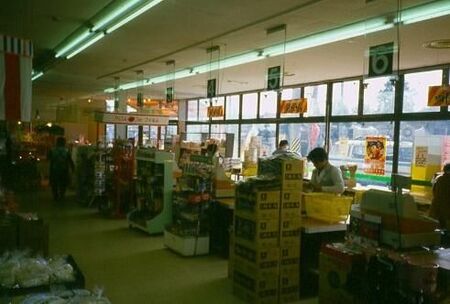 The checkout isle at the Isejin food store in Hitachi.
David  van der Leek
20 Aug 2003