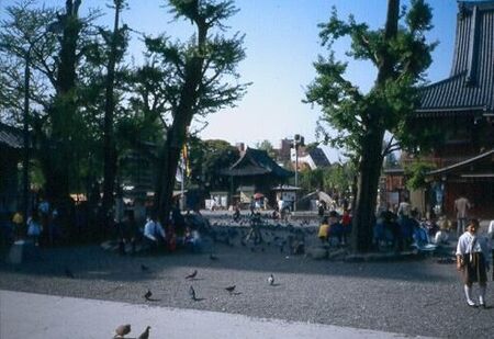 Plenty of pigeons and other birds to see and feed at Asakusa.
David  van der Leek
20 Aug 2003