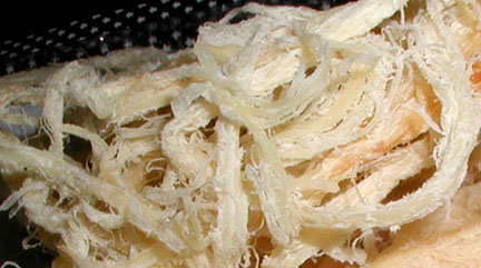 The delicious taste of squid jerkey.  It was one of those aquired tastes.   I still like it.  ©2001 Dave Ahlman
LDS Mission Network
05 Mar 2004