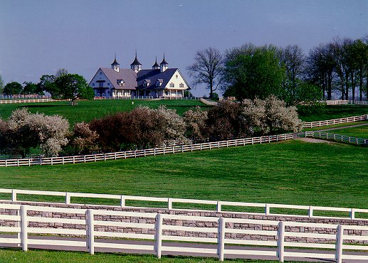 horse farms outside Lexington (taken in '92).
Roger L. Brown
10 Jan 2005