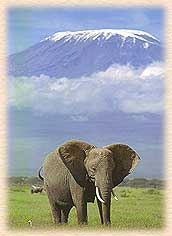 beautiful
Randy Scott Hyland
24 Mar 2004