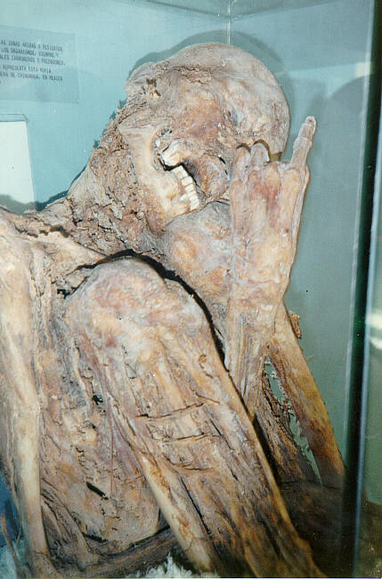 Quien mas vio esta momia en el museo de Delicias? Chido-nice!
Nathan  Burnside
08 Apr 2003