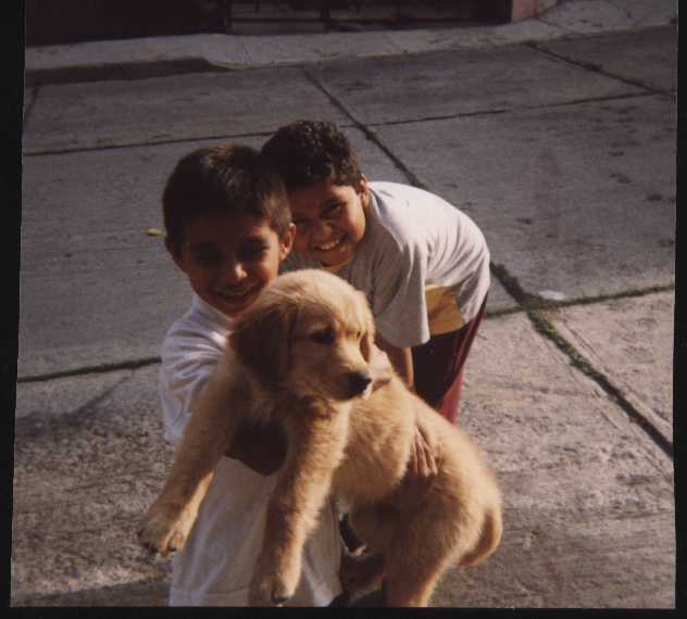 Mis dos consumidores... tres!!! Erving, Leo y Gypsi !!!
Francisco  Ramírez Sánchez
04 Oct 2003