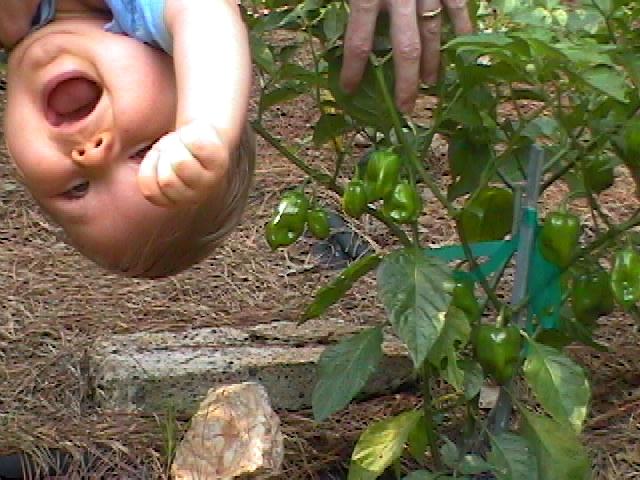 Jared  Heiner Alumni Photo