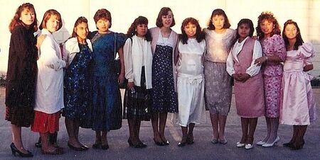 1991
Anne  Boyack
09 Apr 2012