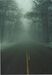 Title: Foggy Road